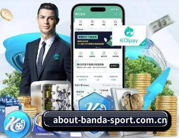 半岛综合 APP 深度功能